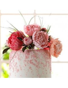 Set 5 Cortadores peonías 2