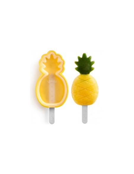 Set 4 Moldes Tropicales para helados