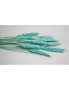 Trigo seco azul