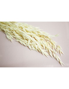 Avena seca natural
