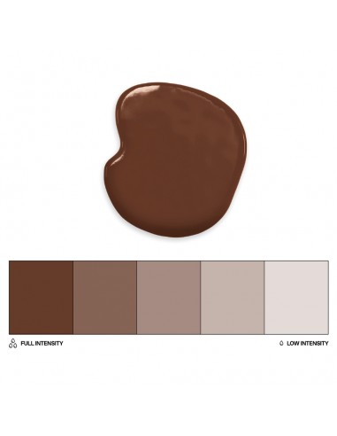 Colorante liposoluble Chocolate Colour Mill