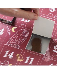 Calendario de Adviento DIY Wizard 2