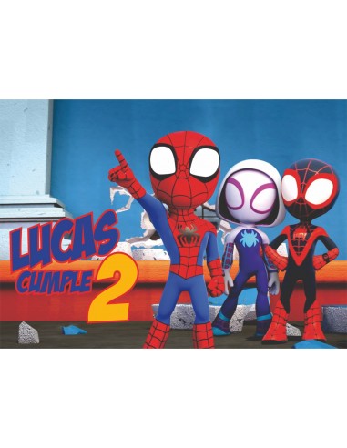 Papel de azúcar Spidey rectangular personalizado