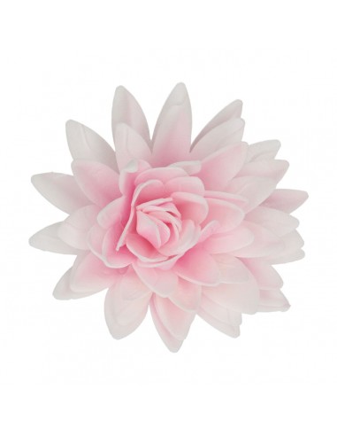 Peonía Rosa Oblea 12cm