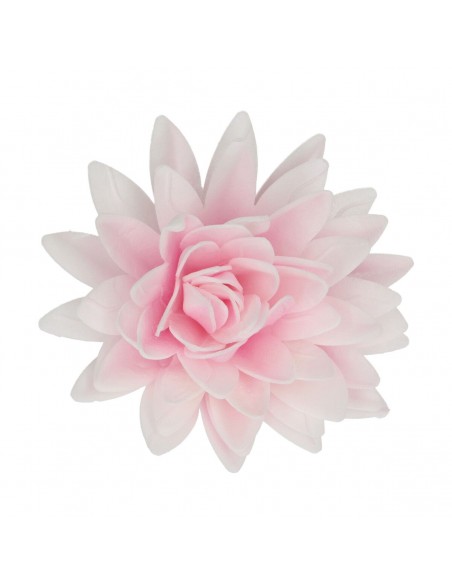 Peonía Rosa Oblea 12cm