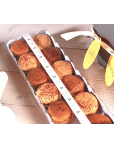 Caja blanca con tapa transparente rectangular 2