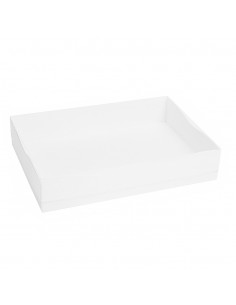 Caja blanca con tapa transparente tipo catering 2