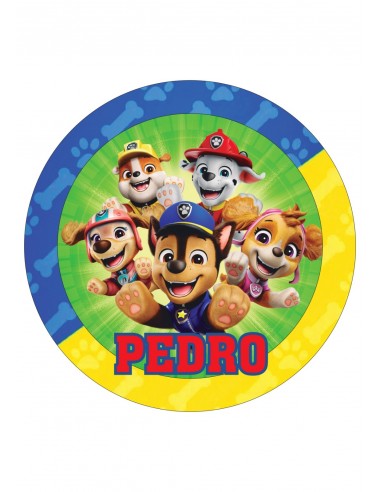 Papel Comestible Patrulla Canina Personalizado