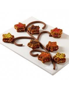 Molde galletas hojas y calabazas 2