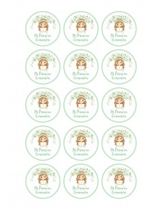 Papel Comestible Niña de Comunión Floral Verde para Galletas