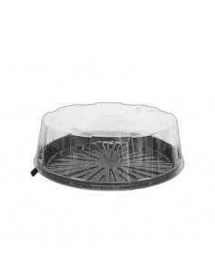 Caja de Plástico Transparente para Tarta 20 cm
