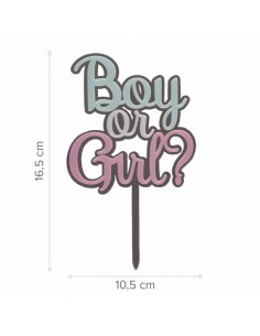 Topper Boy or Girl 2