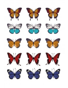 Papel de azúcar mariposas
