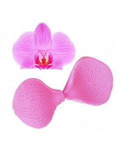 Texturizador Pétalos Orquídea