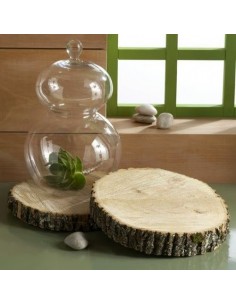 Plato tronco madera