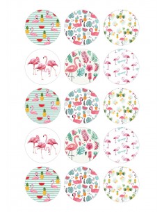 Papel de azúcar flamencos