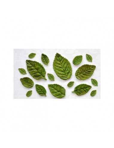 Molde de silicona hojas variadas
