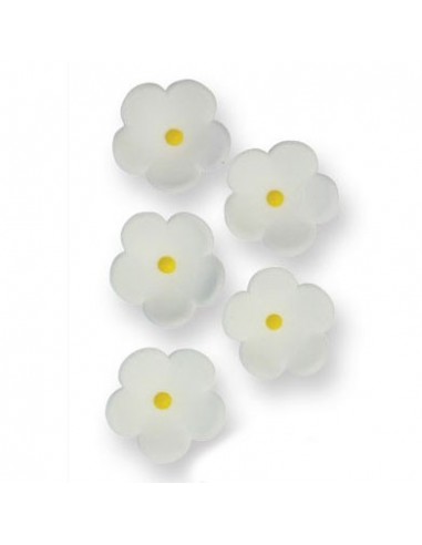 flores azúcar blancas