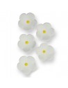 flores azúcar blancas