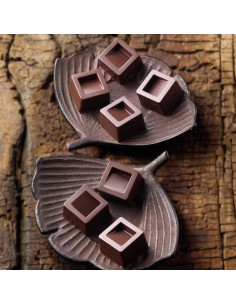 Molde Bombones Cubo 2